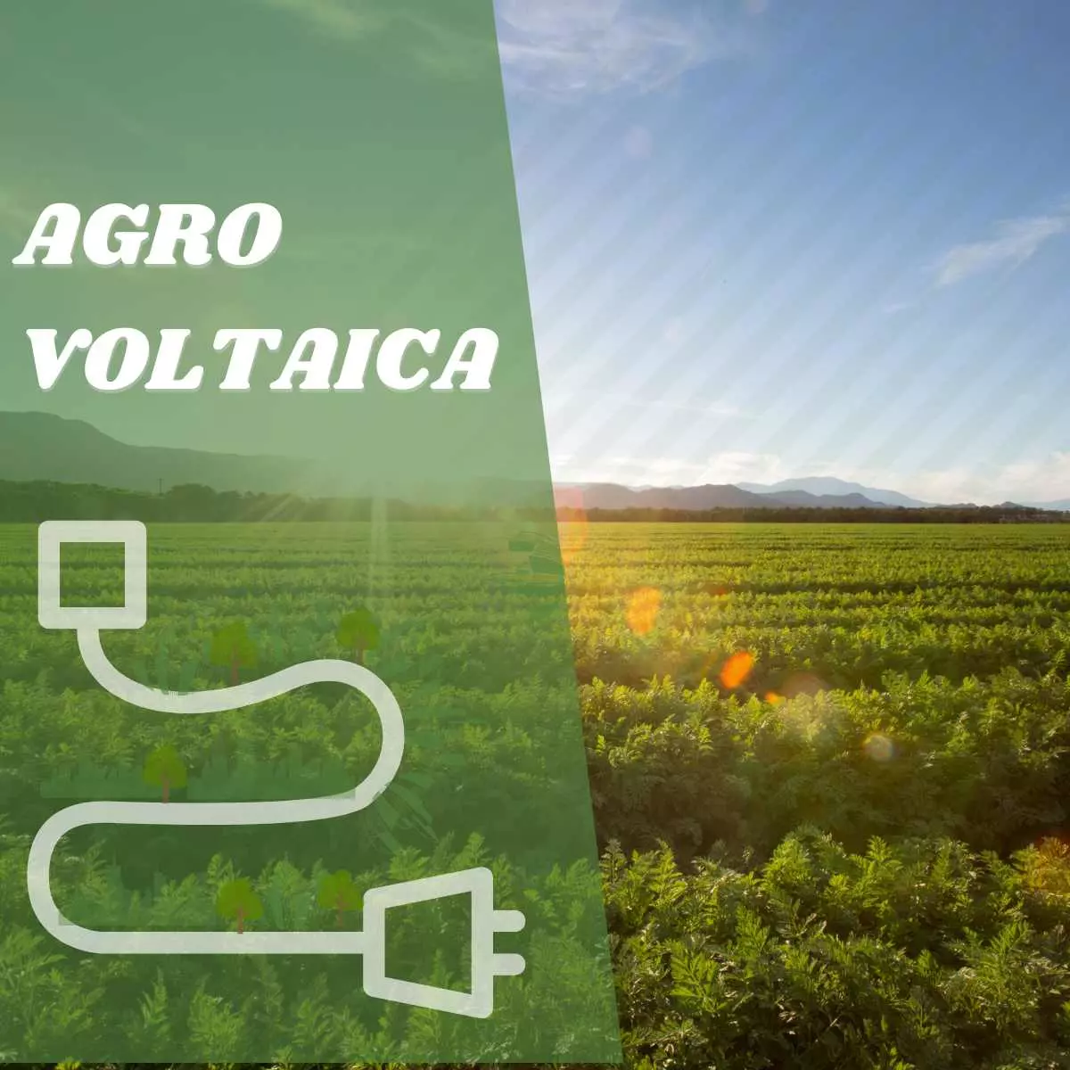 Energía solar en agricultura