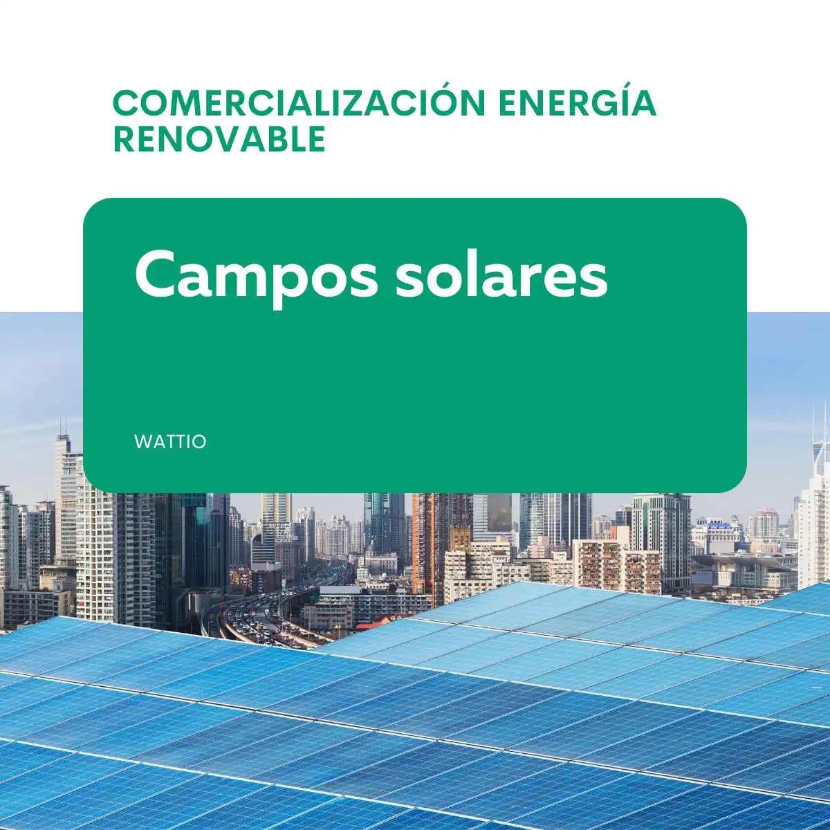Campos solares